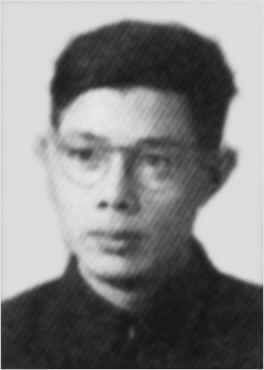 丁力 
