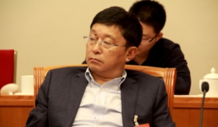 阿來代表參加審議政府工作報(bào)告分組會