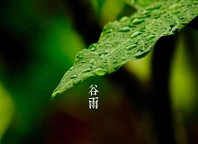 《谷雨》過了清明，就是谷雨。村莊里，田野里，村路上，草木間，人家的院落里，人們的臉上，到處都是春天的閑意思了。[詳細]