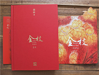 《金枝》：“虛置的父權”，使父親的角色無比尷尬