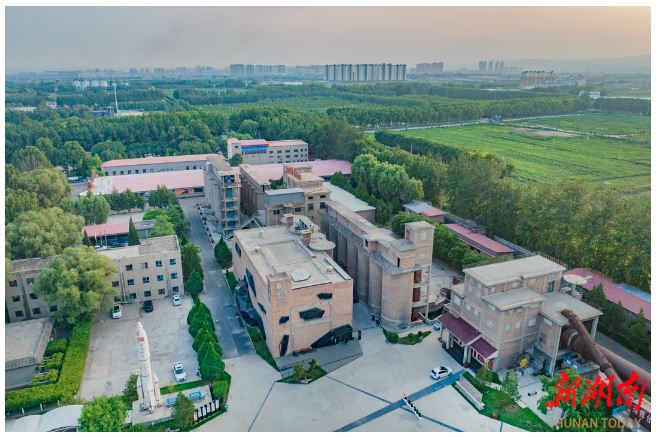 賈家莊“種子影院”。