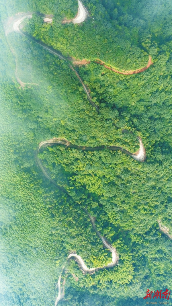 過去梯危徑險的智峰山，如今修通了盤山公路