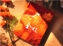 【第13期】邵麗《金枝》　　在作品里，我試圖通過對家族歷史的梳理尋找生命的原鄉(xiāng)，但兜兜轉(zhuǎn)轉(zhuǎn)，最終發(fā)現(xiàn)一切都始于土地，也歸于土地。[詳細]