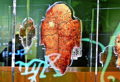 河南安陽殷墟博物館新館內展出的刻辭卜甲。 新華社記者 李安攝 