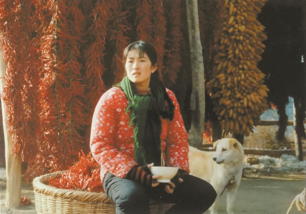 劉恒擔(dān)任編劇的電影《秋菊打官司》曾獲得第49屆威尼斯電影節(jié)金獅獎、第13屆中國電影金雞獎最佳故事片獎等獎項。