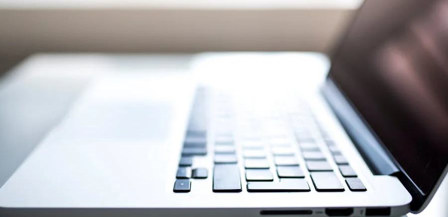 網絡文學多元化發展進入新階段