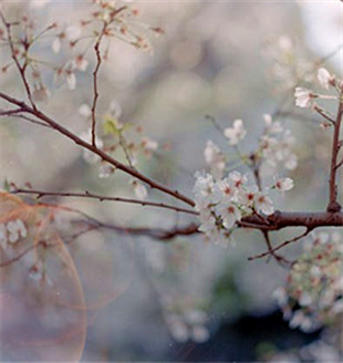 數(shù)字化喧賓奪主，展覽如何回歸藝術(shù)本源