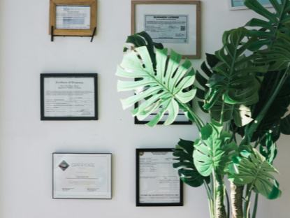 美國和歐洲多地評出的2024年年度最佳圖書一瞥