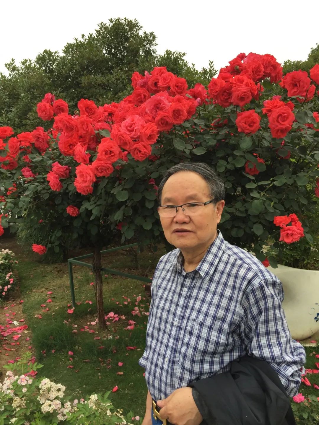 【劉慶邦，1951年生于河南沈丘。著有長篇小說《斷層》《遠(yuǎn)方詩意》《平原上的歌謠》《紅煤》《遍地月光》《黑白男女》《女工繪》《花燈調(diào)》等十四部，中短篇小說集、散文集《走窯漢》《梅妞放羊》《遍地白花》《響器》《黃花繡》《到處有道》等七十余部?！秳c邦短篇小說編年》十二卷。短篇小說《鞋》獲第二屆魯迅文學(xué)獎(jiǎng)。中篇小說《神木》《啞炮》獲第二屆和第四屆老舍文學(xué)獎(jiǎng)。中篇小說《到城里去》和長篇小說《紅煤》分別獲第四屆、第五屆北京市文學(xué)藝術(shù)獎(jiǎng)。長篇小說《遍地月光》獲第八屆茅盾文學(xué)獎(jiǎng)提名。長篇小說《黑白男女》獲首屆吳承恩長篇小說獎(jiǎng)。長篇小說《家長》獲第二屆南丁文學(xué)獎(jiǎng)。長篇散文《陪護(hù)母親日記》獲第二屆孫犁散文獎(jiǎng)。曾獲北京市首屆德藝雙馨獎(jiǎng)，首屆林斤瀾杰出短篇小說作家獎(jiǎng)，第十屆冰心散文獎(jiǎng)。獲《北京文學(xué)》獎(jiǎng)十五次；《十月》文學(xué)獎(jiǎng)七次；《小說月報(bào)》百花獎(jiǎng)八次等。根據(jù)其小說《神木》改編的電影《盲井》獲第53屆柏林電影藝術(shù)節(jié)銀熊獎(jiǎng)。1990年加入中國作家協(xié)會(huì)，為中國煤礦作家協(xié)會(huì)名譽(yù)主席，北京作家協(xié)會(huì)原副主席，一級(jí)作家，北京市第十、第十一、第十二屆政協(xié)委員，中國作家協(xié)會(huì)第五、第六、第七、第八、第九屆全國委員會(huì)委員?！?></p>
<p style=