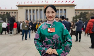 全國政協委員、山西藝術職業學院黨委委員、副院長苗潔