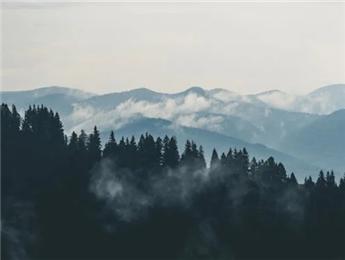 為山作注