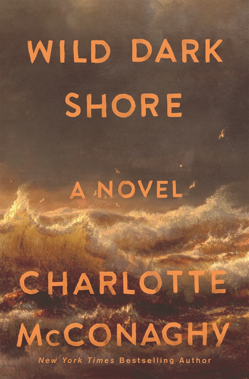 《野性黑暗海岸》 夏洛特·麥康納吉 著