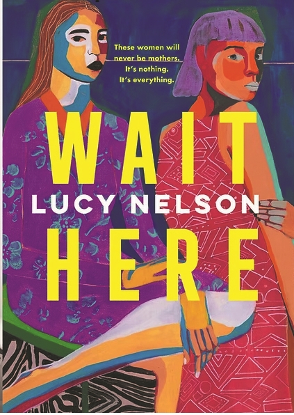 《在這里等待》 露西·尼爾森 著