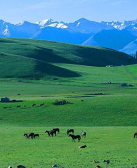 陳登：生息之地