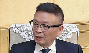 全國人大代表、中國作協副主席麥家
